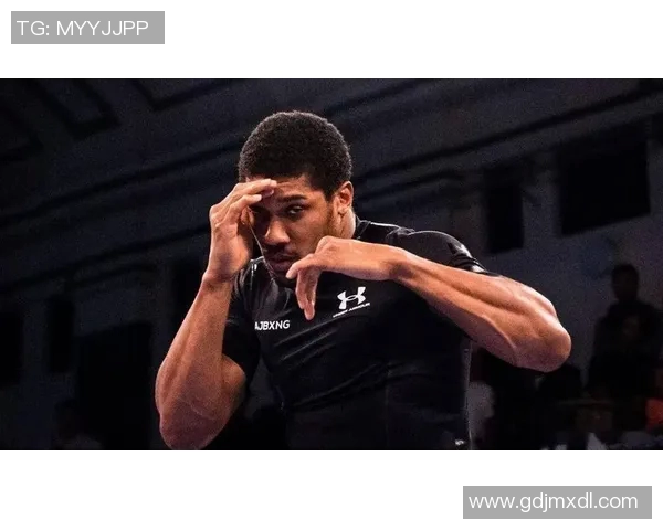 克里钦科与约书亚精彩对决视频回顾及赛后分析