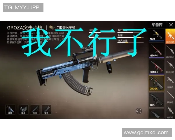 和平精英深度解析：全面剖析WE战队的运营策略与成功之道